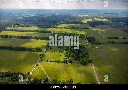 Luftaufnahme, Senne Heidelandschaft, Holzweg Wald und Wiesen mit Baumallee, Fernsicht mit Himmel, Heimathof, Augustdorf, Ostwestfalen, Nein Stockfoto