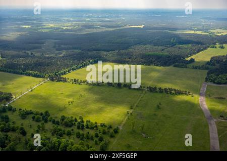 Luftaufnahme, Senne Heidelandschaft, Holzweg Wald und Wiesen mit Baumallee, Fernsicht, Heimathof, Augustdorf, Ostwestfalen, Nordrhein Stockfoto