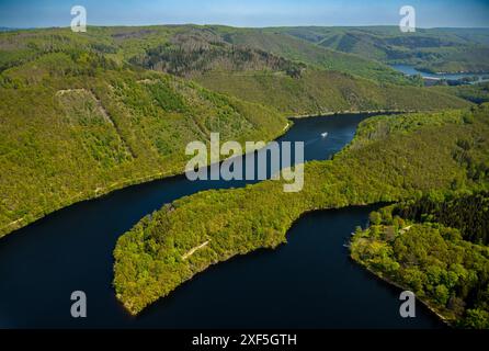 Luftsicht, Rur und Urfttalsperre Urftsee, Ausflugsboot SeenSucht mit Gästen, Waldgebiet Hügel und Täler mit Waldschaden Nordeifel Nat Stockfoto