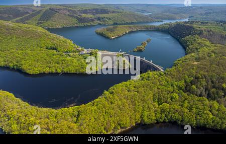 Aus der Vogelperspektive, Rur Urftsee, Urfttalsperre, Fernsicht Waldgebiet Hügel und Täler Eifel Nationalpark Eifel, Morsbach, Schleiden, Nein Stockfoto