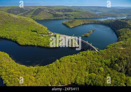 Aus der Vogelperspektive, Rur Urftsee, Urfttalsperre, Fernsicht Waldgebiet Hügel und Täler Eifel Nationalpark Eifel, Morsbach, Schleiden, Nein Stockfoto