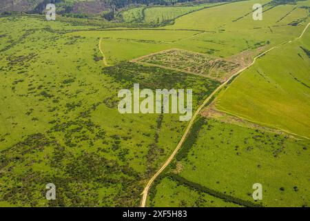 Aus der Vogelperspektive, Waldgebiet und Naturschutzgebiet Dreiborner Hochebene NSG zwischen Scheuren und Dreiborn, Wiesen und Felder mit Muster, Nationalpark Eifel, Stockfoto