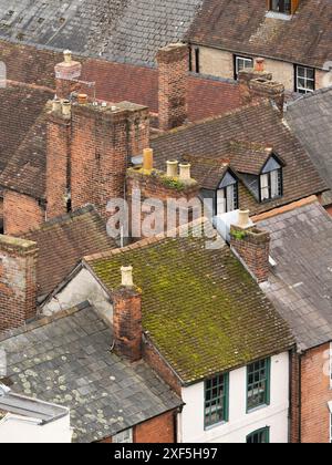 Die Dächer von Ludlow aus Sicht der St. Laurence's Church, Ludlow, Shropshire, England, Großbritannien Stockfoto