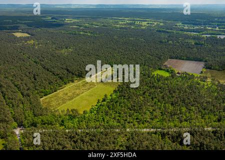 Luftaufnahme, Naturpark Moosheide in der Senne, Heidewaldgebiet am Emser Kirchweg, Fernsicht, Wandergebiet, Hövelhof, Ostwestp Stockfoto