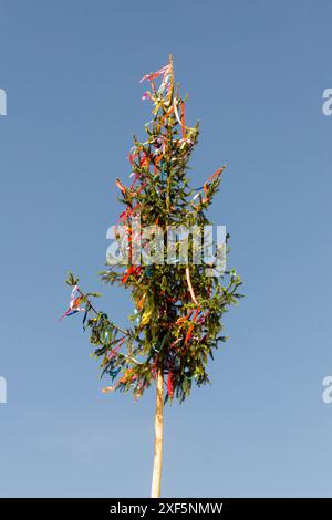 Das traditionelle Maypole in der Slowakei, dekoriert mit bunten Bändern. Stockfoto