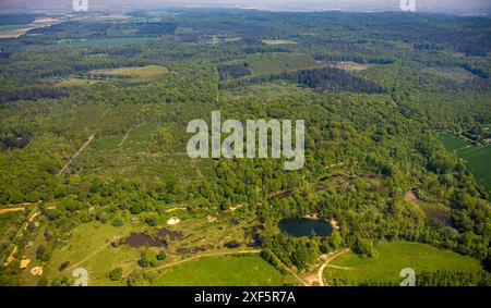 Aus der Vogelperspektive, Waldgebiet Kottenforst, Teiche Schottergrube Dünstekofen Landschaftsschutzgebiet, Naturschutzgebiet Waldville mit Fernsicht, Dünstekove Stockfoto