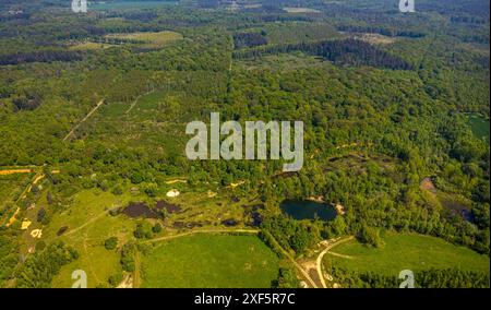 Aus der Vogelperspektive, Waldgebiet Kottenforst, Teiche Schottergrube Dünstekofen Landschaftsschutzgebiet, Naturschutzgebiet Waldville mit Fernsicht, Dünstekove Stockfoto