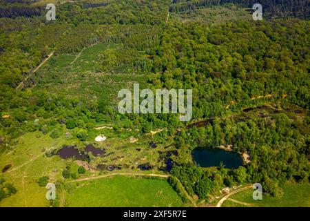 Aus der Vogelperspektive, Waldgebiet Kottenforst, Dünstekofengrubenteiche Landschaftsschutzgebiet, Naturschutzgebiet Waldville, Heimerzheim, Swisttal, Rhein Stockfoto