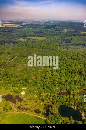 Aus der Vogelperspektive, Waldgebiet Kottenforst, Teiche Schottergrube Dünstekofen Landschaftsschutzgebiet, Naturschutzgebiet Waldville mit Fernsicht mit Wolke Stockfoto