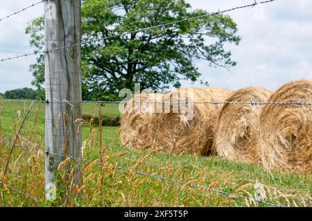 Holzzaunpfosten aus der Nähe auf einem Hintergrund aus gerolltem Heu Stockfoto