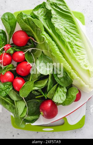 Eine grüne Mischung aus frischem Gemüse für den Salat. Römersalat, Spinat und Radieschen in Nahaufnahme auf dem Küchentisch, vertikales Banner Stockfoto