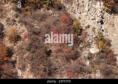 Herbstrote Bäume auf steilen Klippen in den Bergen. Region Ismayilli. Aserbaidschan. Stockfoto