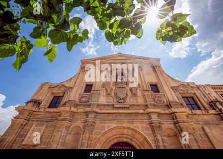 Hauptfassade der barocken Kirche Santo Domingo in Murcia, Spanien, von unten gesehen und mit den Sonnenstrahlen zwischen den Blättern eines Maulbeerbaumes Stockfoto