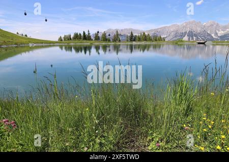 Das Kaisergebirge, einige Gondeln der Bergbahn, grüne Nadelbäume und blühende Wiesenpflanzen im Vordergrund, Weitwinkelblick Stockfoto