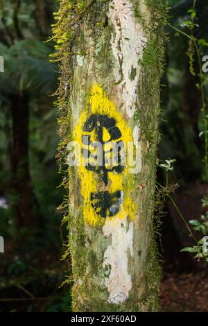 Wanderweg Schild für den „Caminho das Araucárias“-Weg am Parque da Ronda in Sao Francisco de Paula, Süden Brasiliens Stockfoto