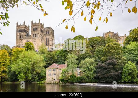 Die Kathedrale von Durham vom Fluss Wear aus gesehen, Durham, England, Großbritannien Stockfoto