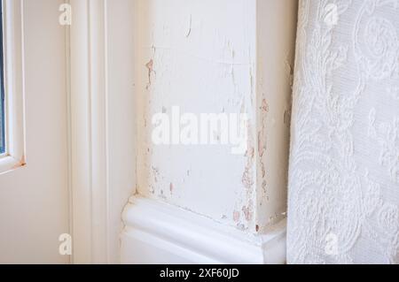 Feuchtes Eindringen (aufsteigende Feuchtigkeit) in eine massive Ziegelwand, wodurch sich die Farbe ablöst. Innenraum in Großbritannien. Stockfoto