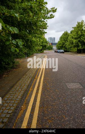 Leere Vorstadtstraße, gesäumt von Bäumen und geparkten Autos, mit doppelten gelben Linien an einem bewölkten Tag. Stockfoto