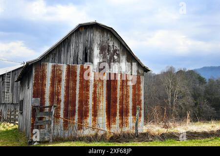 Die alte Holzscheune in Tennessee wurde mit Blech repariert. Bretter sind in der Scheune kaputt und Blech rostet. Stockfoto