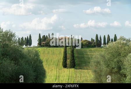 Toskanische Landschaft in der Nähe von San Quirico d'Orcia in der Toskana, Italien, April. Stockfoto