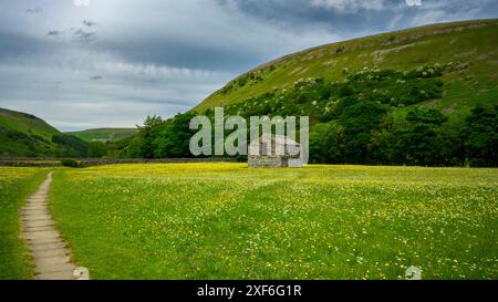 Malerische Swaledale-Hochland-Wildblumenwiese im Frühling (alte Scheune im Feld, steiler Hügel, mit Steinflagge gekennzeichneter Pfad) - Muker, Yorkshire Dales, England Großbritannien. Stockfoto