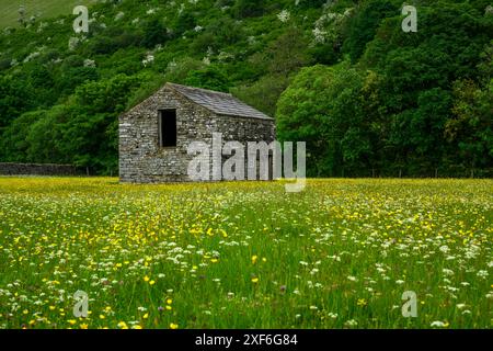 Malerische Swaledale-Hochland-Wildblumenwiesen im Frühling (alte Steinscheune auf dem Feld, steile Hügel, Silageernte) - Muker, Yorkshire Dales, England Großbritannien. Stockfoto