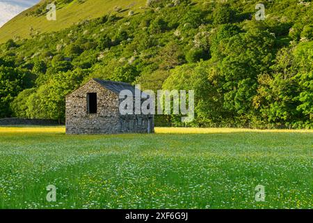 Malerische Swaledale-Hochland-Wildblumenwiesen im Frühling (alte Steinscheune auf dem Feld, steiler Hügel, Grasland) - Muker, Yorkshire Dales, England, UK. Stockfoto