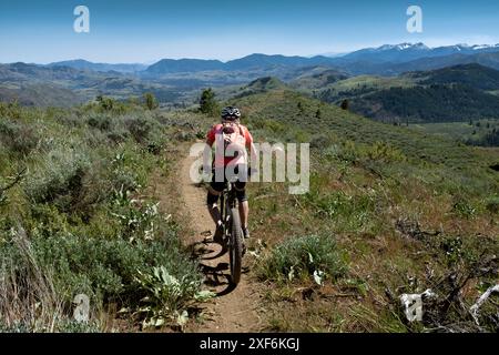 WA24944-00-....WASHINGTON - Vicky Spring Mountain Biking auf dem Buck Mountain Trail im Methow Valley. MR#S1 Stockfoto