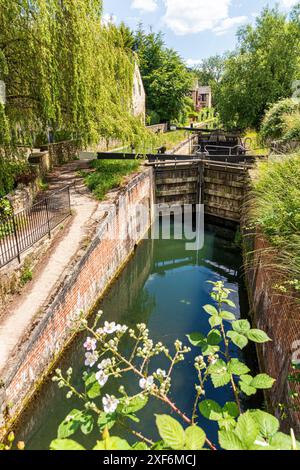 Bowbridge Lock on the Stroudwater Navigation in den Stroud Valleys, Gloucestershire, England Großbritannien Stockfoto