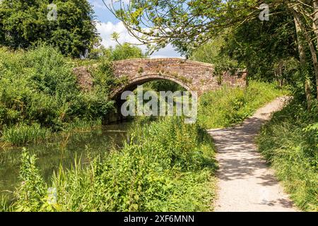 Stanton's Bridge in der Nähe von Bowbridge über die Stroudwater Navigation in den Stroud Valleys, Gloucestershire, England Großbritannien Stockfoto