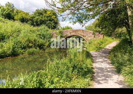 Stanton's Bridge in der Nähe von Bowbridge über die Stroudwater Navigation in den Stroud Valleys, Gloucestershire, England Großbritannien Stockfoto