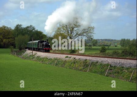 '30053' und Zug in der Nähe von Northiam. Stockfoto