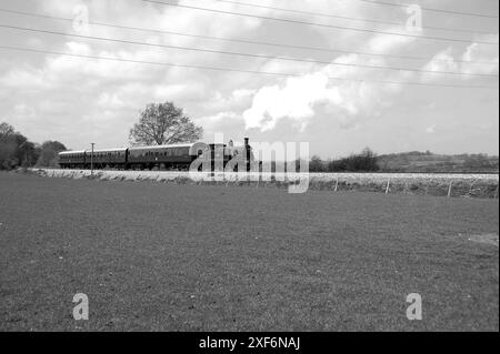 '30053' und Zug in der Nähe von Northiam. Stockfoto