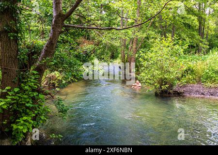 Ein Mitglied der Bowbridge Baders kühlt sich an einem heißen Sommertag im River Frome bei Bowbridge in den Stroud Valleys, Gloucestershire, England, ab Stockfoto