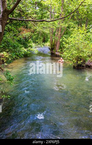 Ein Mitglied der Bowbridge Baders kühlt sich an einem heißen Sommertag im River Frome bei Bowbridge in den Stroud Valleys, Gloucestershire, England, ab Stockfoto