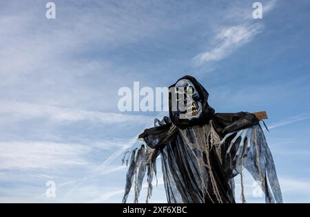 Menschliches Skelett gegen blauen Himmel und Bäume. Halloween Dekoration. Stockfoto