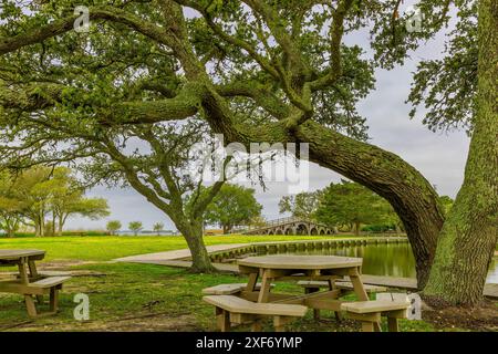 Dieser wunderschöne öffentliche Park in Corolla, North Carolina, USA, ist ein wunderschöner Park am Currituck Sound. Stockfoto