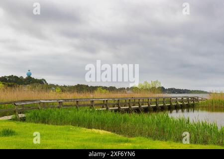 Dieser wunderschöne öffentliche Park in Corolla, North Carolina, USA, ist ein wunderschöner Park am Currituck Sound. Stockfoto