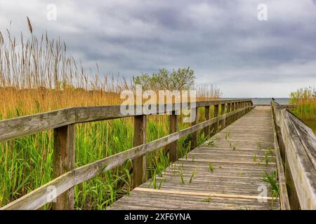 Dieser wunderschöne öffentliche Park in Corolla, North Carolina, USA, ist ein wunderschöner Park am Currituck Sound. Stockfoto