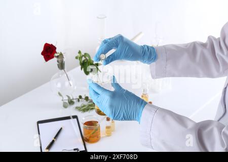 Aromatherapeutikum. Wissenschaftler, der ätherische Öle am weißen Tisch im Labor entwickelt, Nahaufnahme Stockfoto