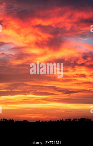 Sonnenuntergang mit Palmen in der Silhouette am Himmel, Florida Stockfoto