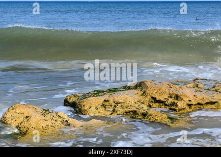 Wellen stürzen auf Coquina Rock Atlantik Stockfoto