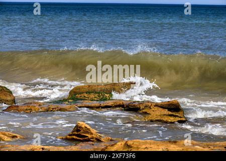 Wellen stürzen auf Coquina Rock Atlantik Stockfoto