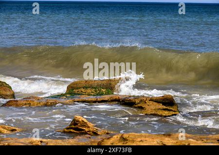 Wellen stürzen auf Coquina Rock Atlantik Stockfoto