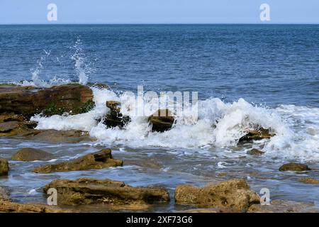 Wellen stürzen auf Coquina Rock Atlantik Stockfoto