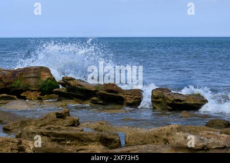 Wellen stürzen auf Coquina-Felsen Stockfoto