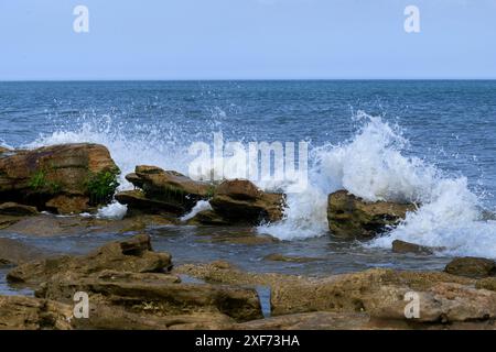 Wellen stürzen auf Coquina roc Stockfoto