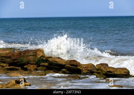 Wellen stürzen auf Coquina Rock Atlantik Stockfoto