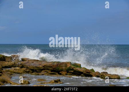 Wellen stürzen auf Coquina Rock Atlantik Stockfoto