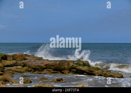 Wellen stürzen auf Coquina Rock Atlantik Stockfoto